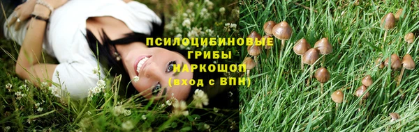 МДПВ Карпинск