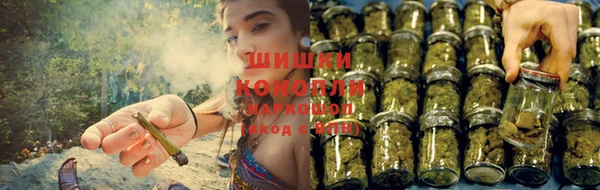 трава Кинешма